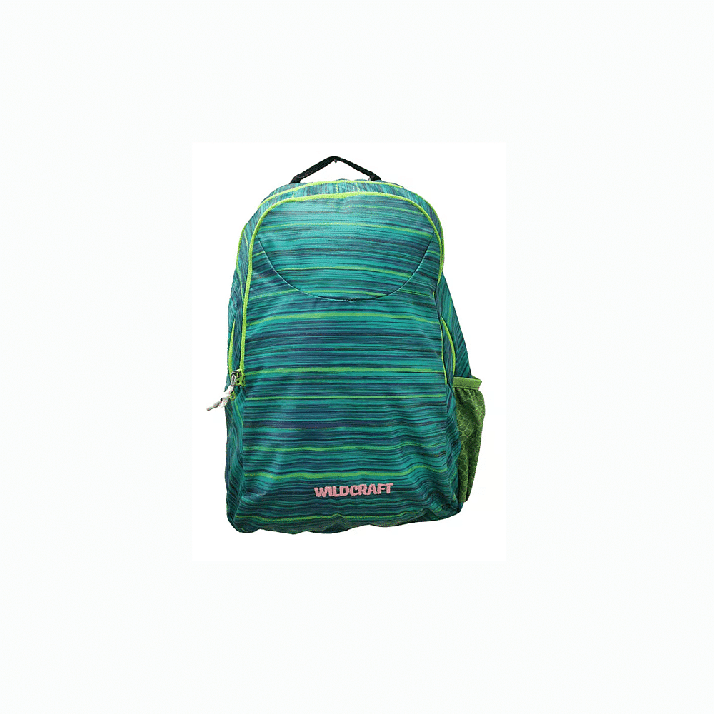 Wildcraft Arial DC Backpack