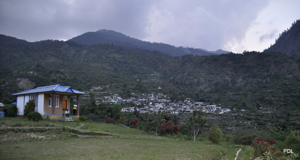 Dayara Bugyal Trek 10
