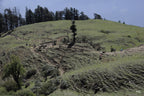 Dayara Bugyal Trek 12