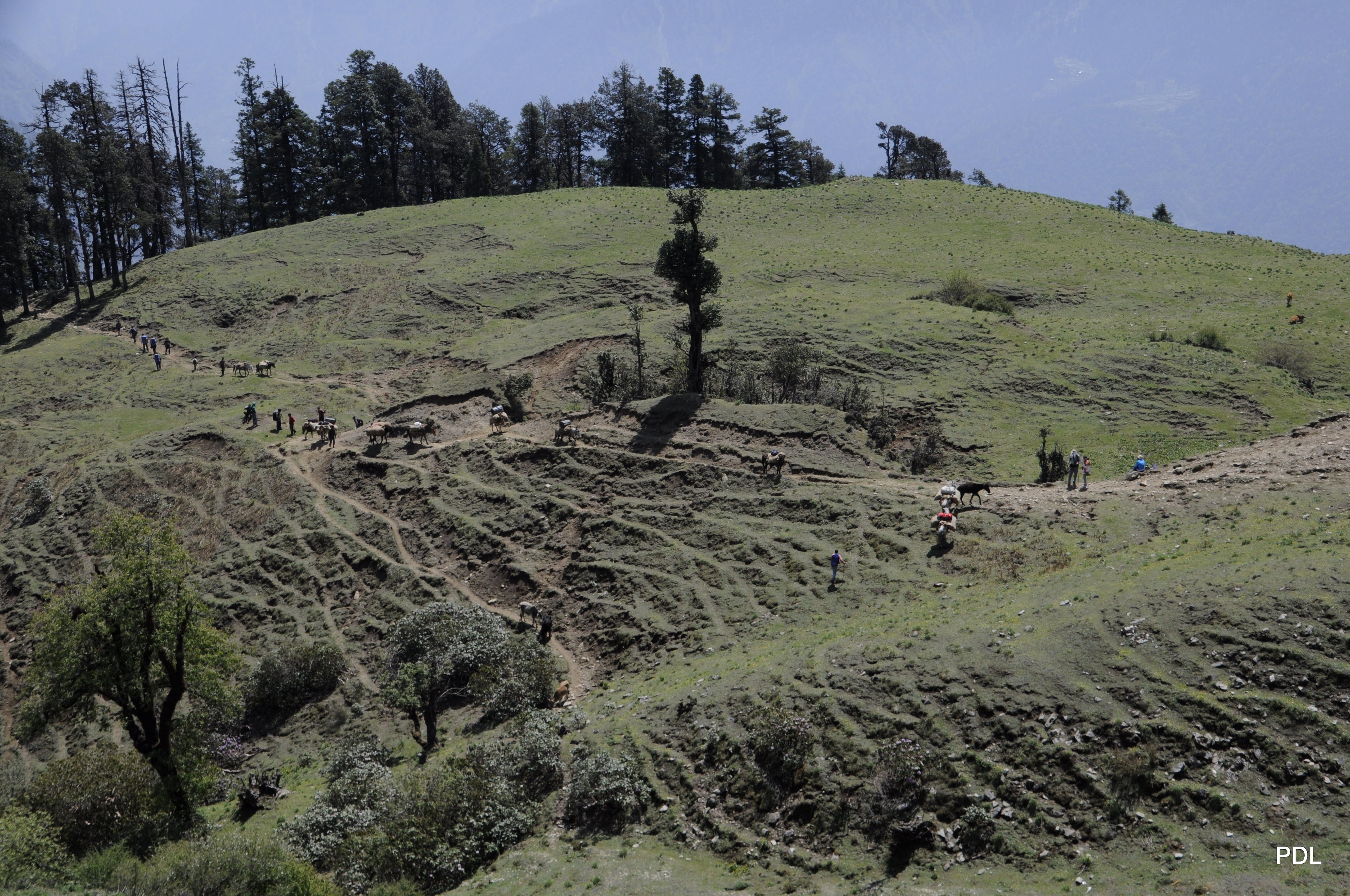 Dayara Bugyal Trek 12
