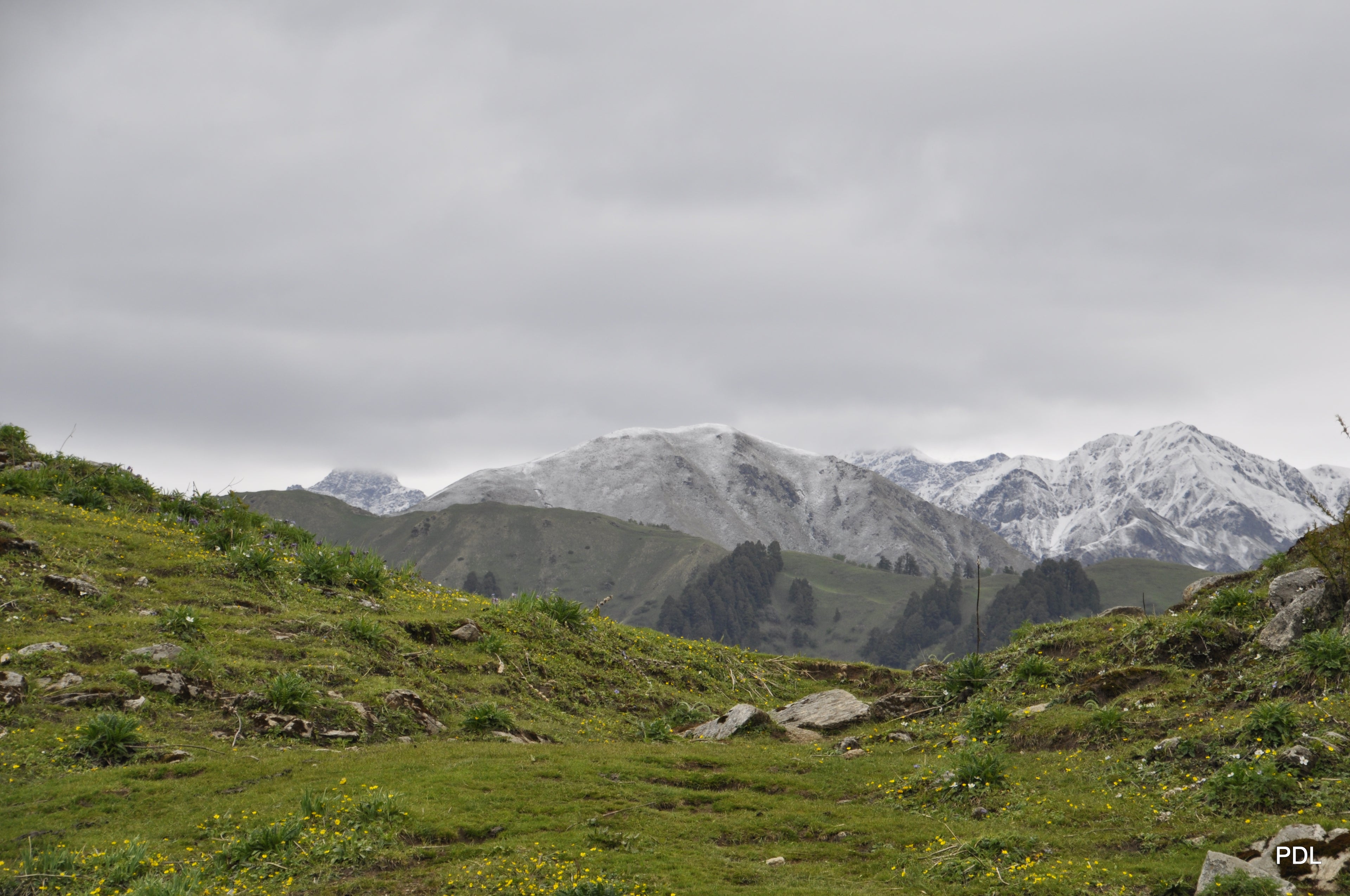 Dayara Bugyal Trek 14