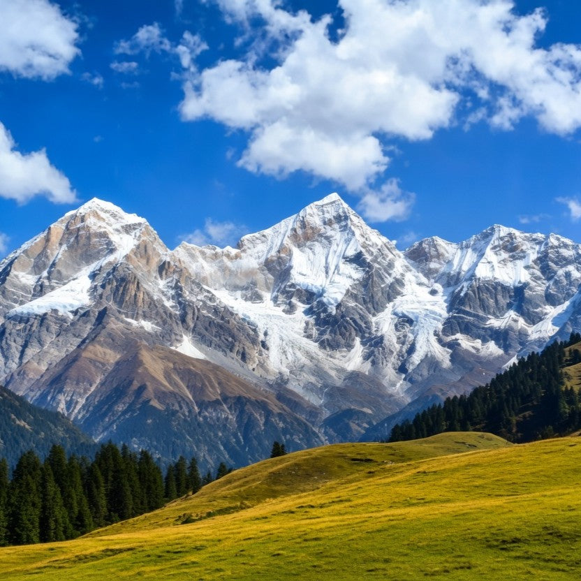Dayara Bugyal Trek 4