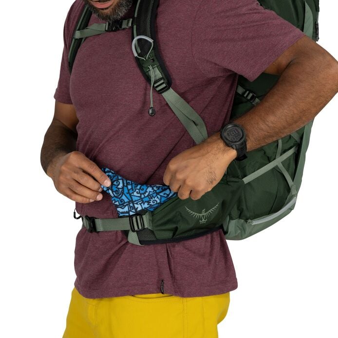 https://www.osprey.com/media/catalog/product/cache/b2f1ce2dfe10d3d31bf2056bf6e0d10f/T/a/Talon33_S25_Detail2_GreenCanopyPineLeaf-resized.jpg