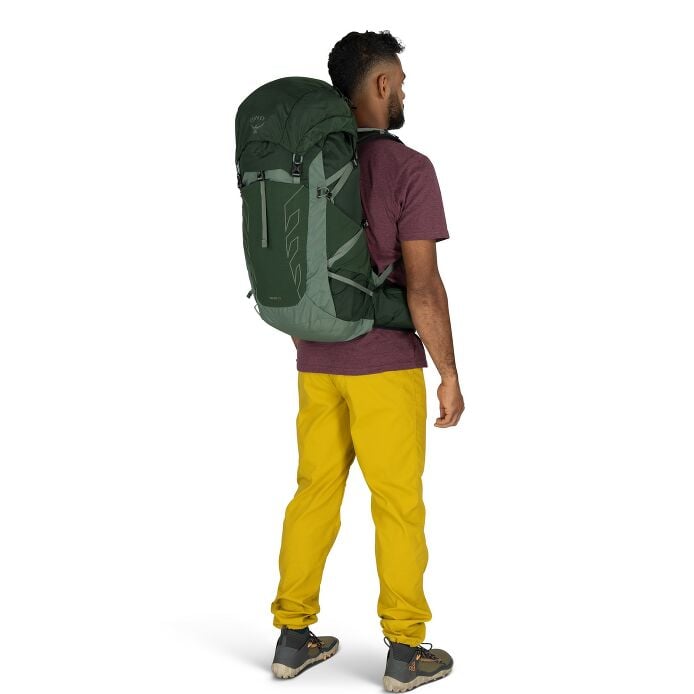 https://www.osprey.com/media/catalog/product/cache/b2f1ce2dfe10d3d31bf2056bf6e0d10f/T/a/Talon33_S25_OnBody2_GreenCanopyPineLeaf-resized.jpg
