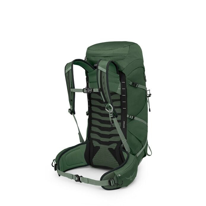 https://www.osprey.com/media/catalog/product/cache/b2f1ce2dfe10d3d31bf2056bf6e0d10f/T/a/Talon33_S25_SideBack_GreenCanopyPineLeaf-resized.jpg