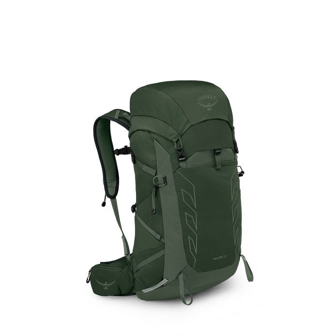 https://www.osprey.com/media/catalog/product/cache/b2f1ce2dfe10d3d31bf2056bf6e0d10f/T/a/Talon33_S25_Side_GreenCanopyPineLeaf-resized.jpg