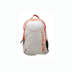 Wildcraft Arial DC Backpack