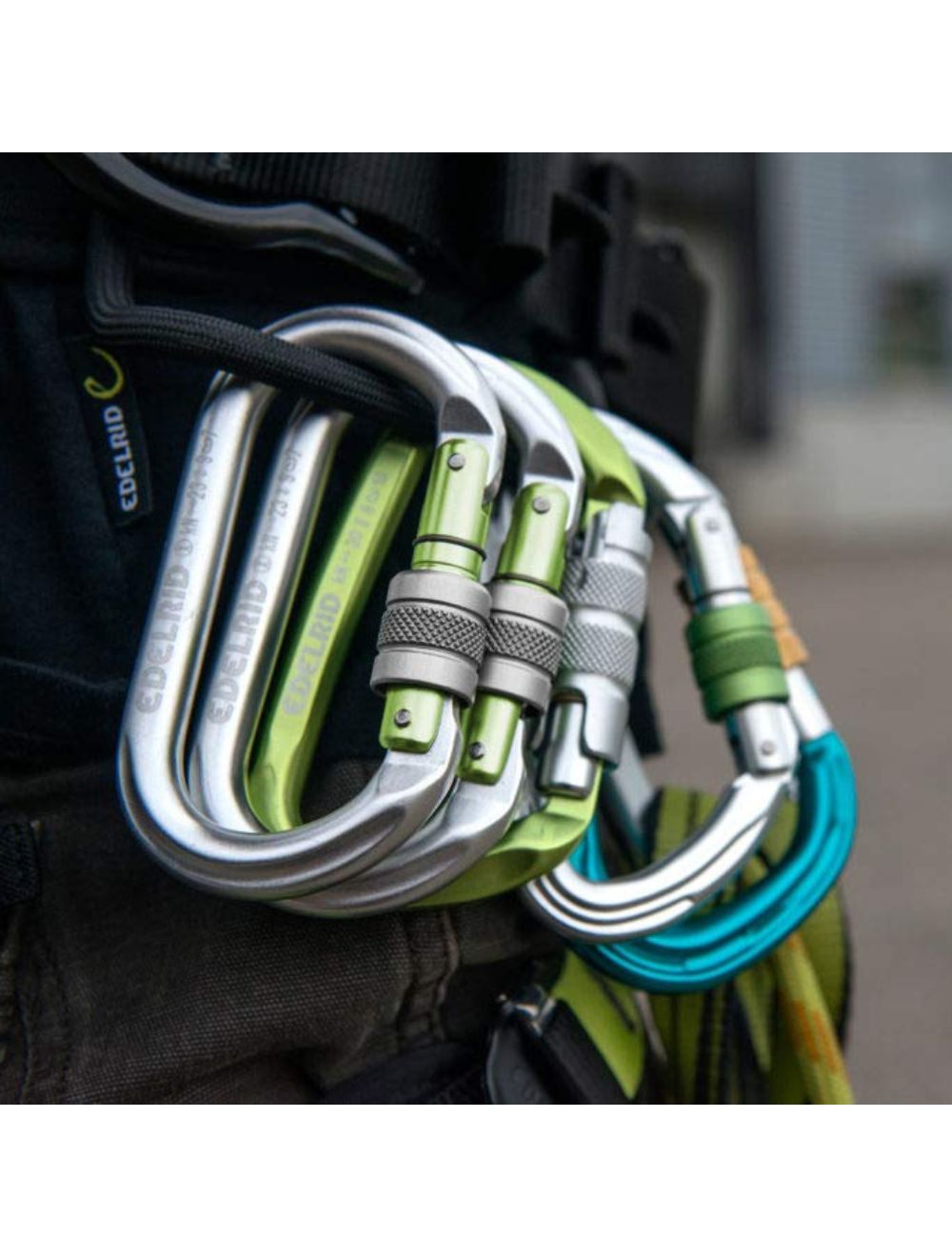 Edelrid Oval Power 2500 Triple Carabiner