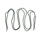 Quipco Shoe Laces : Charcoal+Green